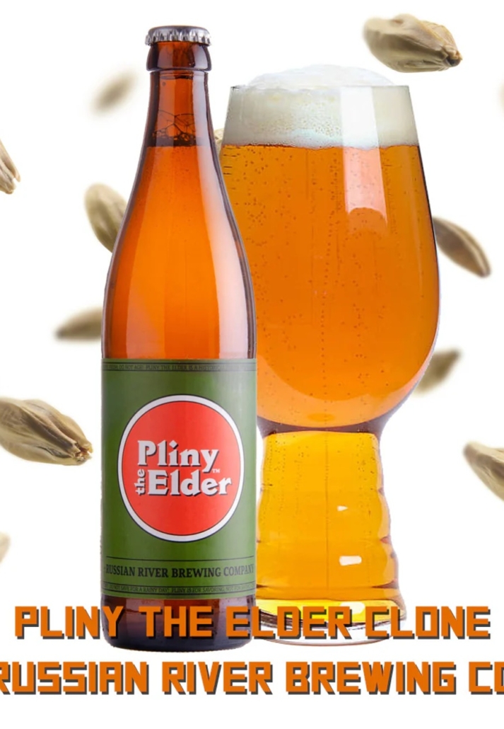 Pivo Pliny Elder v lahvi a nalité ve sklenici